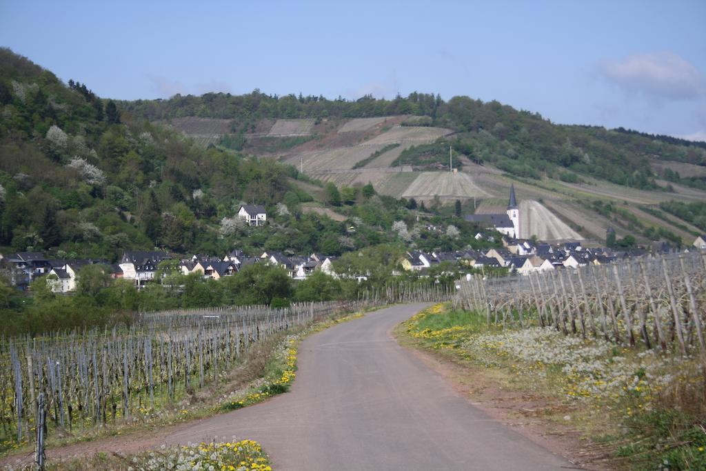Hotel Weingut Goeres Briedel Exteriér fotografie