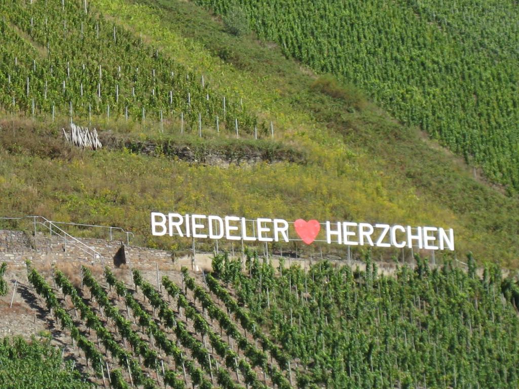 Hotel Weingut Goeres Briedel Pokoj fotografie